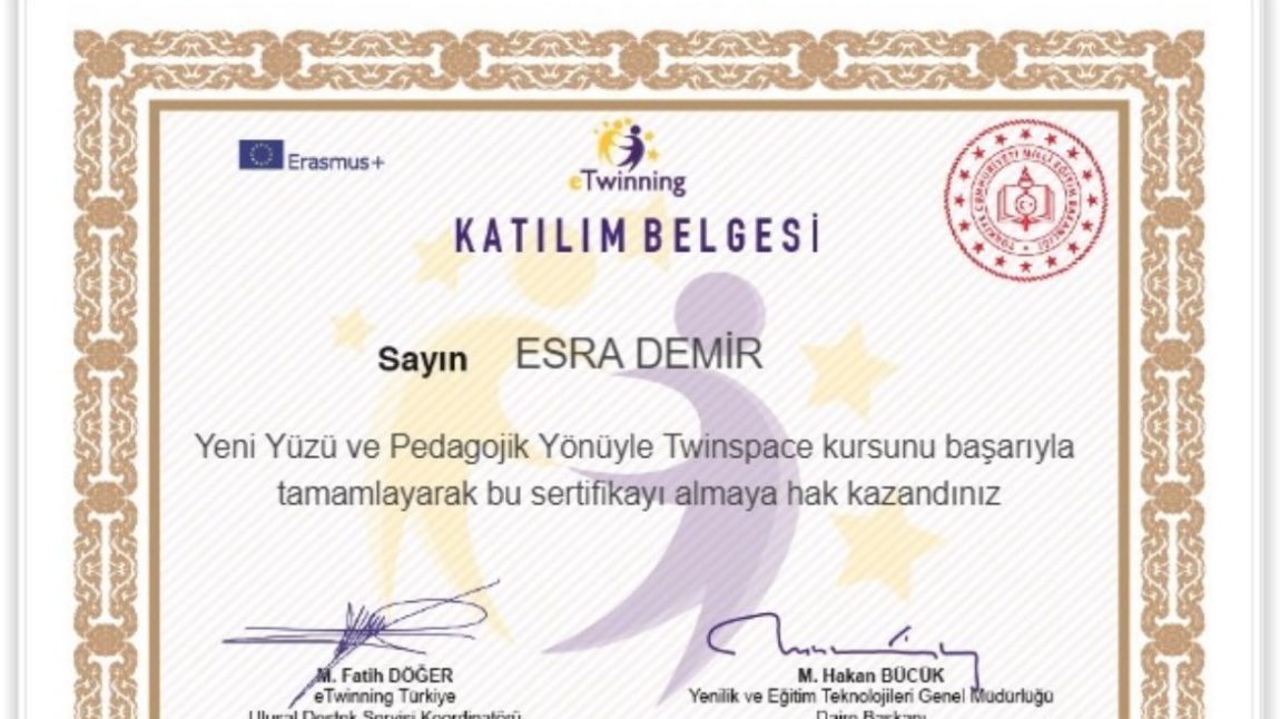 e-TWİNNİNG EĞİTİM BELGESİ